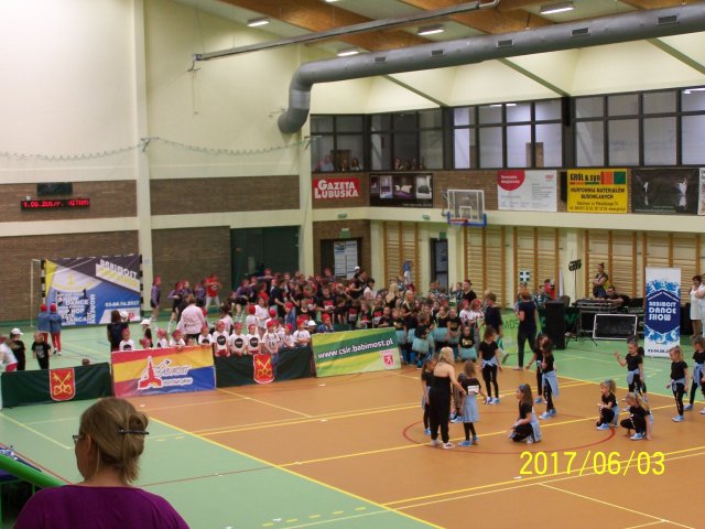 fest 8